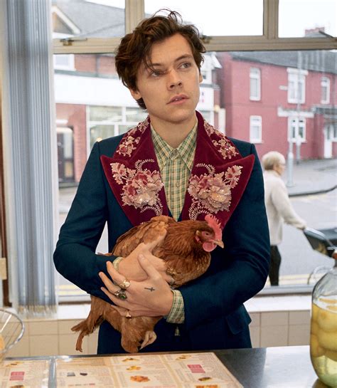 vogue harry styles gucci|harry styles gucci collection.